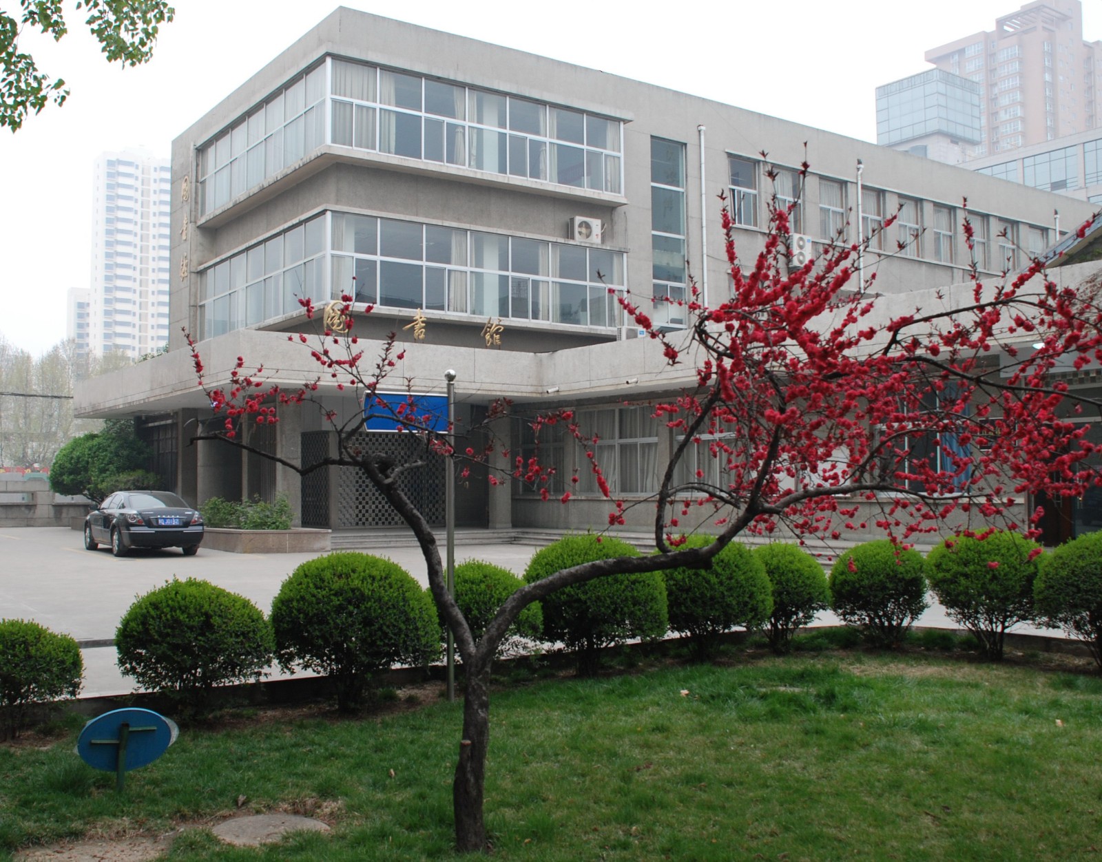 沐浴经典 香溢校园 好书推荐 第十期：《活着》